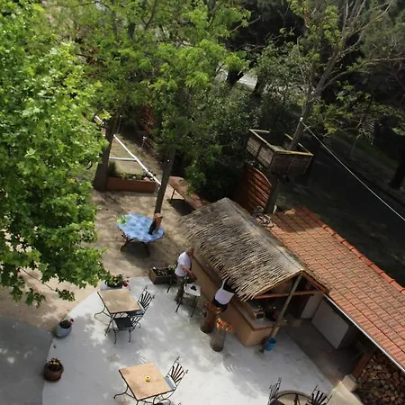 L'effet Arles
